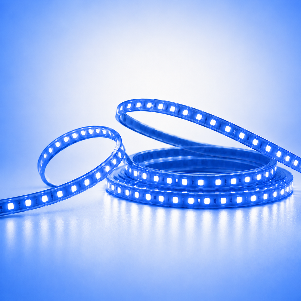 MP Premium LED Rope Light - Blue