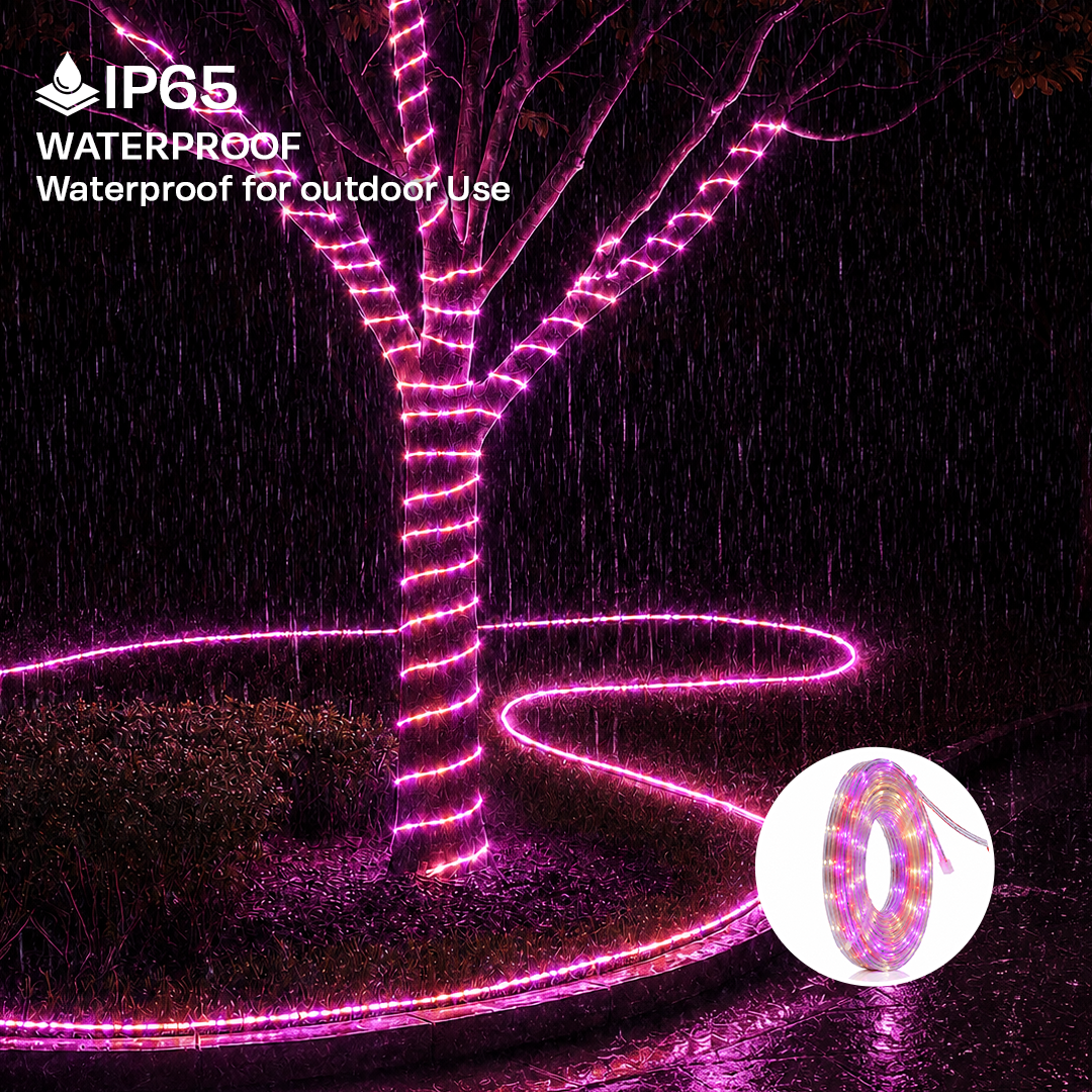 MP Premium LED Rope Light - Multicolor