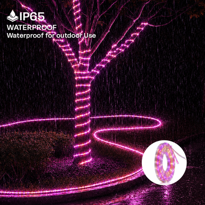 MP Premium LED Rope Light - Multicolor