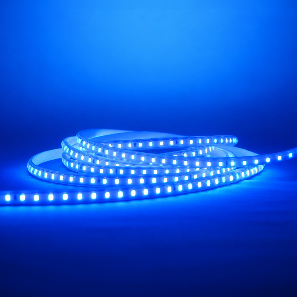 MP Premium LED Rope Light - Blue