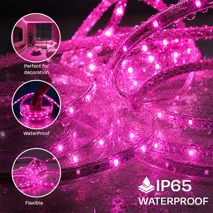 MP Premium LED Rope Light - Pink