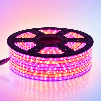 MP Premium LED Rope Light - Multicolor
