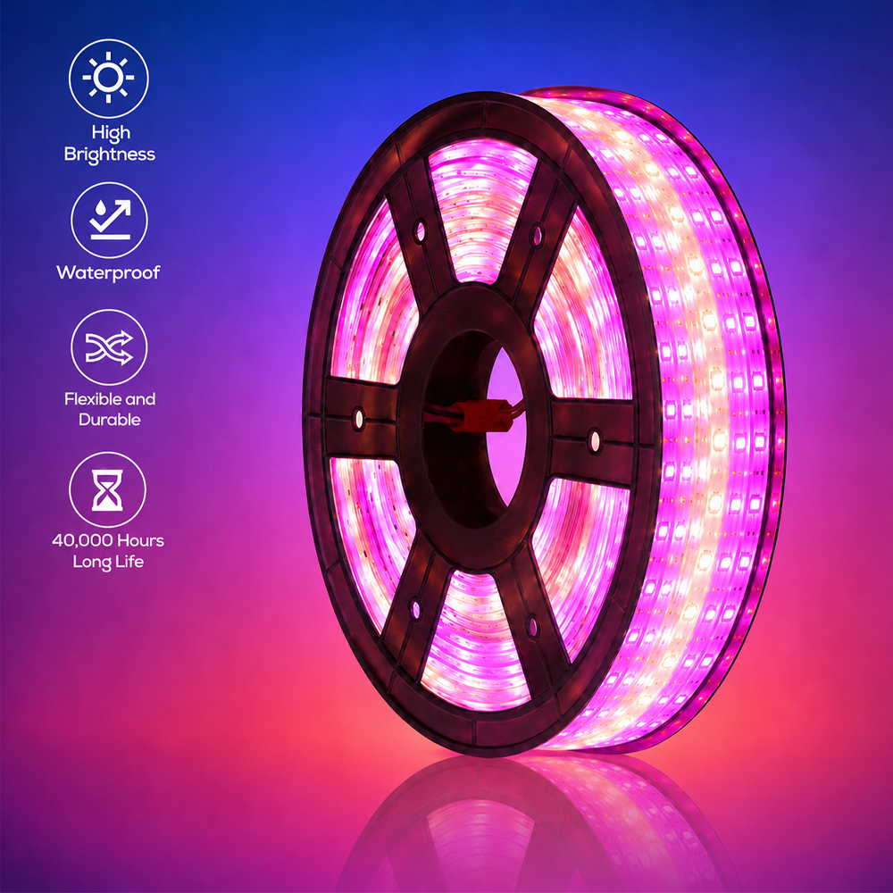 MP Premium LED Rope Light - Multicolor